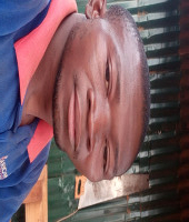 Photo-de-Lassine-Traoré 