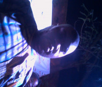 ISSA OUEDRAOGO