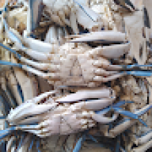 Photo-de-Chérif-Keita