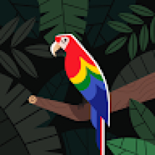 Photo-de-Jean de dieu-Yao pokou