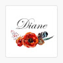 Photo-de-diane barbara-NAMBONA