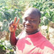 Photo-de-Alexi Yaro-Yaro