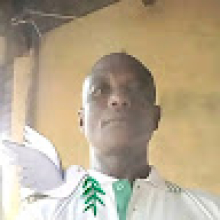 Pebele Celestin