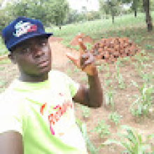 Simplice Diarra
