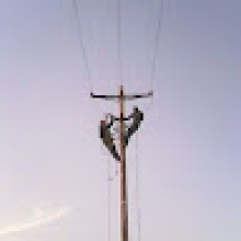 Photo-de-sidy-doucouré