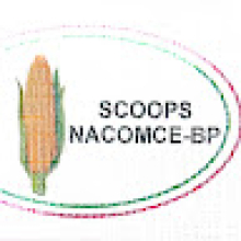 Scoops NACOMCE-BP