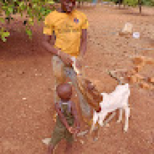 Photo-de-Phirmain-Bihouando