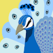 Photo-de-Sanfo-Abdoul dramane