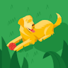 Photo-de-teri-toro Ousmane