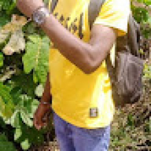 Photo-de-Tolo Oudoro-Millogo