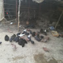 Photo-de-Valentin-TOUGMA