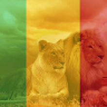 Manssa Doumbia