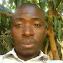 zongo p Albert