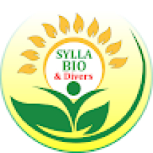 Photo-de-Syllabioet-Divers