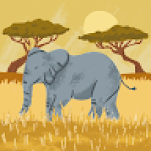 Photo-de-saymonde-kabre