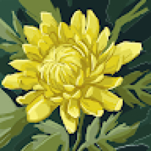 Photo-de-Denis-BATIA