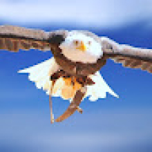 Photo-de-mabiala-morheil