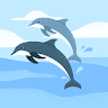 Photo-de-Mohamed-ROUAMBA