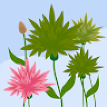 Photo-de-Seydou-Ouattara