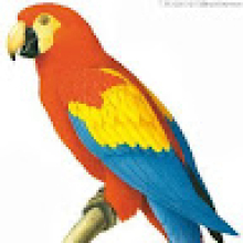 Photo-de-EL HADJI KEBA-GASSAMA