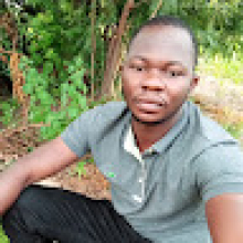 Photo-de-Honoré-Sanna