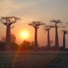 Photo-de-Daddy-RAZAFIMBELO