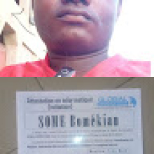 Bomékian Romaric Somé