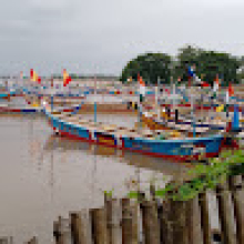 Hardpi Lingani