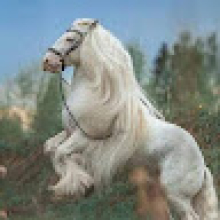 bamba krobla