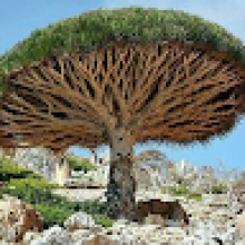 Oued Dider