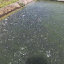 Photo-de-Appo-OUED