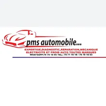 PMS Automobile