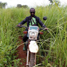 Photo-de-mbilongo-don romial
