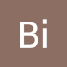 Photo-de-Bi-Place