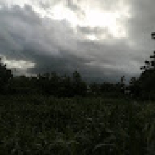 Photo-de-Kardigué-Coulibaly