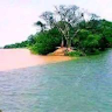 Photo-de-Dnk-Ibrahima