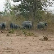 Photo-de-Drissa-Soulama