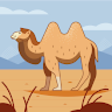 Photo-de-Johnel-De fonolanosas