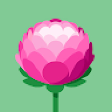 Photo-de-SOULEYMANE-Almoustapha