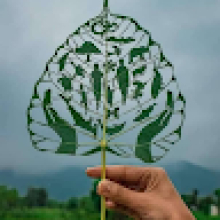 Photo-de-Tinbkieta-Ouedraogo