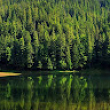 Photo-de-Young-Keïta