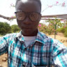 Photo-de-Fidèle-Koala