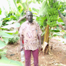 Photo-de-lassina-gnessien