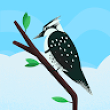 Photo-de-Ousmane-Coulibaly