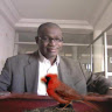 Photo-de-Mouhamed-Diallo