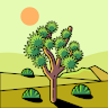 Photo-de-Anatole-Bamogo