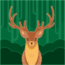 Photo-de-Hervé-Niamou