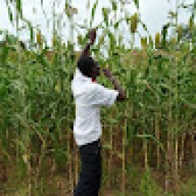 Photo-de-Yougbare-Oumarou