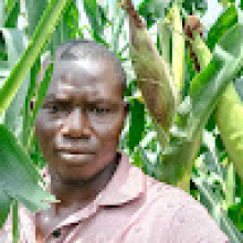Photo-de-Inno-Massa