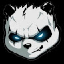 Photo-de-KINGSOLO-IBD